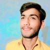 ali.shan.wattoo.80