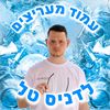 denis_tal_fans