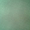 rudy.moran68