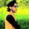 palosi.king37