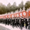 dacatder18296