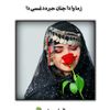 sjanan.musafr