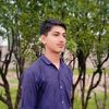 salman.ansiray