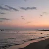 giuliamodesti7