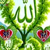 badr.hamdi.badr.ab