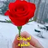 user1683258755594