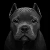 Zara 🐾 | A Menininha Fujona