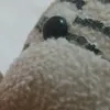 sleppysthar