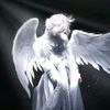 angelzcrafania4