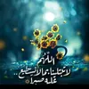user8146028080491