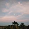 its_zoe555