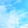cnhf