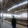 dery09596