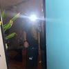 dont_misswansony