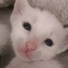 user759541185