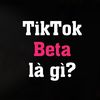 Kiếm Tiền Tiktok Beta