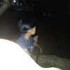 ayiengg4