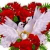 nguyn.dung72988