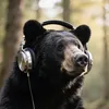 SoundBear🎧