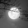 moonquotes