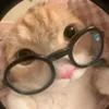 rrrrrrxxpp