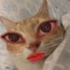 ann_ayy29