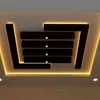 Ajab.gull.celling.3d.paint