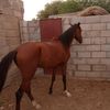 user9580084782658