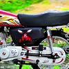 dsnyal..ahmed
