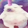 theawsomeunicornjimbo