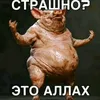 nikita.nazarenko7