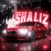 tg_shaliizz