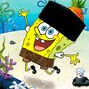 habib.syahputra4