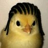 ahmed_1513
