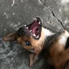 .truongduc1