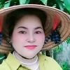 hng.su227