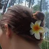 lotti69572