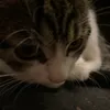moni_bt