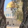 palestine550022456paleas