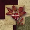 قرآن| مرافئُ الوحي