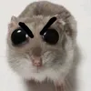 skibidi.ziomal