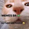 #memesBR_DeTudoUmPouco