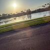 brielle.mangone