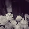 _3484526