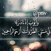 narjees803