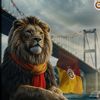 mamedov_07gs