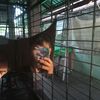 chit.oo9374