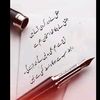 cheema8655