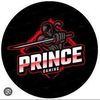 princeyadav6113