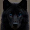 blackwolf6921